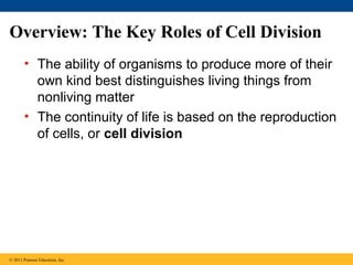 Overview: The Key Roles of Cell Division
• The ability of organisms to produce more of their
own kind best distinguishes living things from
nonliving matter
• The continuity of life is based on the reproduction
of cells, or cell division

© 2011 Pearson Education, Inc.

 