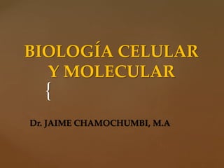 {
BIOLOGÍA CELULAR
Y MOLECULAR
Dr. JAIME CHAMOCHUMBI, M.A
 