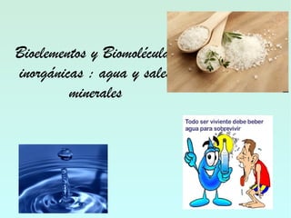 Bioelementos y Biomoléculas
inorgánicas : agua y sales
minerales
 
