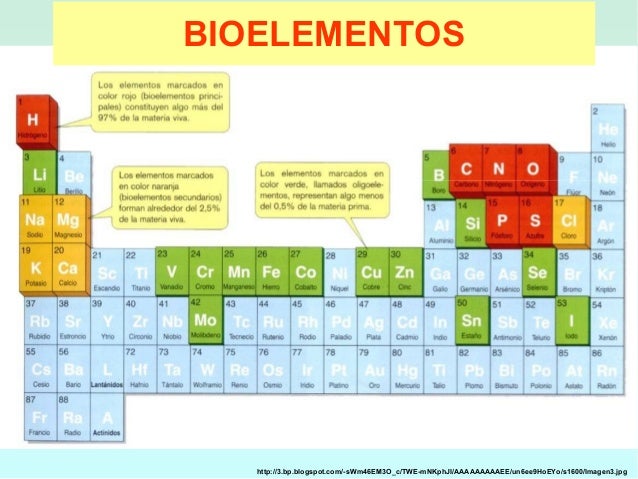 biole biole