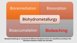 Bioheap Bioleaching | PPTX