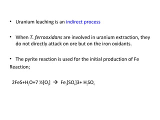 • Uranium leaching is an indirect process
• When T. ferrooxidans are involved in uranium extraction, they
do not directly attack on ore but on the iron oxidants.
• The pyrite reaction is used for the initial production of Fe
Reaction;
2FeS+H2O+7 ½[O2]  Fe2[SO4]3+ H2SO4
 