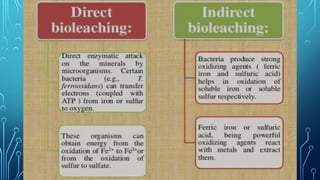 Bioleaching Process -Marine Microbiology | PPTX