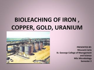 BIOLEACHING OF IRON ,
COPPER, GOLD, URANIUM
PRESENTED BY:
Mousami Jaria
St. Geeorge College of Management
and Science
MSc Microbiology
Semester 2
 