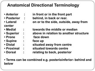 Anatomical Directional Terminology

• Anterior     :   in front or in the front part
• Posterior    :   behind, in back or rear.
• Lateral     :    on or to the side, outside, away from
center
• Medial      :    towards the middle or median
• Superior    :    above in relation to another structure
• Prone       :     face down
• Supine      :    face up
• Distal      :    situated away from centre
• Proximal    :    situated towards centre
• Dorsal      :    relating to back, posterior

• Terms can be combined e.g. posterioinferior- behind and
below
 