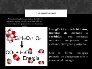 Al oxidarse la glucosa, produce dióxido de
carbono, agua y energía, la cual es utilizada
por el organismo para realizar sus funciones
vitales.
Los glúcidos, carbohidratos,
hidratos de carbono o
sacáridos son moléculas
orgánicas compuestas por
carbono, hidrógeno y oxígeno.
Son la forma biológica
primaria de almacenamiento y
consumo de energía.
CARBOHIDRATOS
 