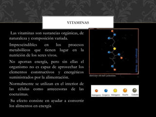 Las vitaminas son sustancias orgánicas, de
naturaleza y composición variada.
Imprescindibles en los procesos
metabólicos que tienen lugar en la
nutrición de los seres vivos.
No aportan energía, pero sin ellas el
organismo no es capaz de aprovechar los
elementos constructivos y energéticos
suministrados por la alimentación.
Normalmente se utilizan en el interior de
las células como antecesoras de las
coenzimas.
Su efecto consiste en ayudar a convertir
los alimentos en energía
VITAMINAS
 