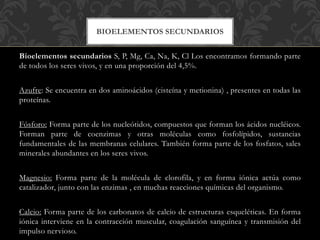 Bioelementos secundarios S, P, Mg, Ca, Na, K, Cl Los encontramos formando parte
de todos los seres vivos, y en una proporción del 4,5%.
Azufre: Se encuentra en dos aminoácidos (cisteína y metionina) , presentes en todas las
proteínas.
Fósforo: Forma parte de los nucleótidos, compuestos que forman los ácidos nucléicos.
Forman parte de coenzimas y otras moléculas como fosfolípidos, sustancias
fundamentales de las membranas celulares. También forma parte de los fosfatos, sales
minerales abundantes en los seres vivos.
Magnesio: Forma parte de la molécula de clorofila, y en forma iónica actúa como
catalizador, junto con las enzimas , en muchas reacciones químicas del organismo.
Calcio: Forma parte de los carbonatos de calcio de estructuras esqueléticas. En forma
iónica interviene en la contracción muscular, coagulación sanguínea y transmisión del
impulso nervioso.
BIOELEMENTOS SECUNDARIOS
 