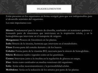 Están presentes en los organismos en forma vestigial, pero que son indispensables para
el desarrollo armónico del organismo.
Los más importantes son:
Hierro: Fundamental para la síntesis de clorofila, catalizador en reacciones químicas y
formando parte de citocromos que intervienen en la respiración celular, y en la
hemoglobina que interviene en el transporte de oxígeno.
Manganeso: Proceso de fotosíntesis en las plantas.
Iodo: Síntesis de la tiroxina, hormona que interviene en el metabolismo.
Flúor: Forma parte del esmalte dentario y de los huesos.
Cobalto: Forma parte de la vitamina B12, necesaria para la síntesis de hemoglobina .
Silicio: Endurece tejidos vegetales como en las gramíneas.
Cromo: Interviene junto a la insulina en la regulación de glucosa en sangre.
Zinc: Actúa como catalizador en muchas reacciones del organismo.
Litio: Actúa sobre neurotransmisores y la permeabilidad celular.
Molibdeno: Actúa en la reducción de los nitratos por parte de las plantas.
OLIGOELEMENTOS
 
