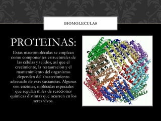 PROTEINAS:
Estas macromoléculas se emplean
como componentes estructurales de
las células y tejidos, así que el
crecimiento, la restauración y el
mantenimiento del organismo
dependen del abastecimiento
adecuado de esas sustancias. Algunas
son enzimas, moléculas especiales
que regulan miles de reacciones
químicas distintas que ocurren en los
seres vivos.
BIOMOLECULAS
 