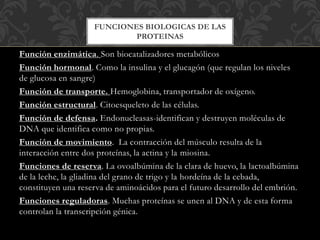 Función enzimática. Son biocatalizadores metabólicos
Función hormonal. Como la insulina y el glucagón (que regulan los niveles
de glucosa en sangre)
Función de transporte. Hemoglobina, transportador de oxígeno.
Función estructural. Citoesqueleto de las células.
Función de defensa. Endonucleasas-identifican y destruyen moléculas de
DNA que identifica como no propias.
Función de movimiento. La contracción del músculo resulta de la
interacción entre dos proteínas, la actina y la miosina.
Funciones de reserva. La ovoalbúmina de la clara de huevo, la lactoalbúmina
de la leche, la gliadina del grano de trigo y la hordeína de la cebada,
constituyen una reserva de aminoácidos para el futuro desarrollo del embrión.
Funciones reguladoras. Muchas proteínas se unen al DNA y de esta forma
controlan la transcripción génica.
FUNCIONES BIOLOGICAS DE LAS
PROTEINAS
 