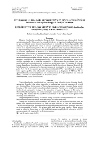 Ecología Aplicada, 9(2), 2010 Presentado: 16/08/10
ISSN 1726-2216 Aceptado: 06/10/10
Depósito legal 2002-5474
© Departamento Académico de Biología, Universidad Nacional Agraria La Molina, Lima – Perú.
ESTUDIOS DE LA BIOLOGÍA REPRODUCTIVA EN CINCO ACCESIONES DE
Smallanthus sonchifolius (Poepp. & Endl.) ROBINSON
REPRODUCTIVE BIOLOGY STUDY IN FIVE ACCESSIONS OF Smallanthus
sonchifolius (Poepp. & Endl.) ROBINSON
Roberto Mansilla1
, César López2
, Mercedes Flores3
y Rosa Espejo4
Resumen
El yacón (Smallanthus sonchifolius (Poepp. & Endl.) Robinson) es una tuberosa de la familia
Asteraceae que en los últimos años ha generado interés por su importancia medicinal y económica
ya que es utilizada como alimento funcional por su contenido de fructo-oligosacáridos. Sin
embargo, la baja reproducción sexual es uno de los principales problemas que presenta esta
especie en su mejoramiento genético. Por esta razón, para conocer el origen de dicha característica,
en el presente trabajo se han realizado estudios de biología floral y reproductiva a cinco accesiones
de yacón del Departamento de Huánuco. En la evaluación de la floración, el tiempo de inicio fue
distinto entre las accesiones, y demoraron hasta ocho semanas en alcanzar el 100 % de floración.
Este prolongado inicio de la floración y la asincrónica formación de los capítulos en la planta
favorecerían una polinización cruzada. Además, entre las accesiones se encontró variaciones en los
caracteres cuantitativos de las estructuras florales y diferencias en el porcentaje de aquenios con
semillas, esto indicó que la capacidad reproductiva es diferente entre las accesiones. Entre tanto,
por el estudio del comportamiento de los insectos, se podría decir que el transporte de polen es
insecto-dependiente. Sin embargo, la elevada receptividad de los estigmas durante el desarrollo de
la inflorescencia, contrasta con los bajos porcentajes de germinación in vitro de los granos de
polen (0.16 %), de los aquenios que presentaron semillas (11.17 %) y de viabilidad de semillas.
Estos aspectos podrían estar relacionados a la presencia de un fragmento de ADN de 202 pb
aproximadamente, que fue amplificado con los cebadores de 20 pb que amplifican una zona del
orfH522 asociado a la androesterilidad en Helianthus annuus.
Palabras clave: yacón, androesterilidad.
Abstract
Yacon (Smallanthus sonchifolius) is a root tuber plant belonging to the botanical family
Asteraceae. Recently, it has gained interest for its medicinal and economic importance. It is used
as a functional food for its content of fructo-oligosaccharides. A major constraint facing genetic
breeding of this crop is its low sexual reproductive capacity. Therefore, we aimed to investigate
the floral and reproductive biology of five accessions of yacon in Huanuco. In this work, we
observed that flowering time was similar among the accessions and it took eight weeks to reach
flowering. This feature and the asynchronous formation of the capitulum in the plant would
encourage cross-pollination.
The plant reproductive ability is different among accessions, due to quantitative trait variation
in floral structures and differences in the percentage of achenes with seeds.
Taking into account its pollination habits, we consider that it is an insect dependant plant, as
evident from insect attraction by the ray floret, the high frequency of visits and insect behavior.
The high receptivity of the stigmas present during inflorescence development, contrasts with poor
in vitro germination of pollen , few achenes with seeds and low seed viability. These aspects
could be related to the presence of a 202 bp DNA fragment, amplified with primers for orfH522
gene associated with male sterility in Helianthus annuus.
Key words: yacón, male sterility.
Introducción.
Smallanthus sonchifolius (“yacón”) es una especie
de la familia Asteraceae originaria de la región andina
(Robinson, 1978) que crece entre los 2000 y 3500
m.s.n.m. Su cultivo se remonta a épocas
precolombinas y ha permanecido por mucho tiempo
restringido a áreas muy pequeñas ya que está adaptada
a las condiciones ecológicas de los Andes, donde su
uso está fuertemente ligado a las tradiciones de los
 
