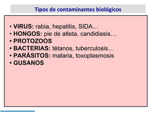 Tipos de contaminantes biológicos

• VIRUS: rabia, hepatitis, SIDA…
• HONGOS: pie de atleta, candidiasis…
• PROTOZOOS
• BA...