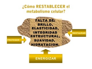 ¿Cómo RESTABLECER el
             metabolismo celular?

                  FALTA DE:
                   BRILLO,
               ELASTICIDAD,
                INTEGRIDAD          RESTAURAR
              ESTRUCTURAL,
PROTEGER         SUAVIDAD,
              HIDRATACION.



                 ENERGIZAR
 
