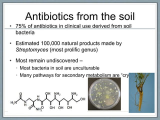 Antibiotics from the soil
• 75% of antibiotics in clinical use derived from soil
bacteria
• Estimated 100,000 natural products made by
Streptomyces (most prolific genus)
• Most remain undiscovered –
• Most bacteria in soil are unculturable
• Many pathways for secondary metabolism are “cryptic”
 