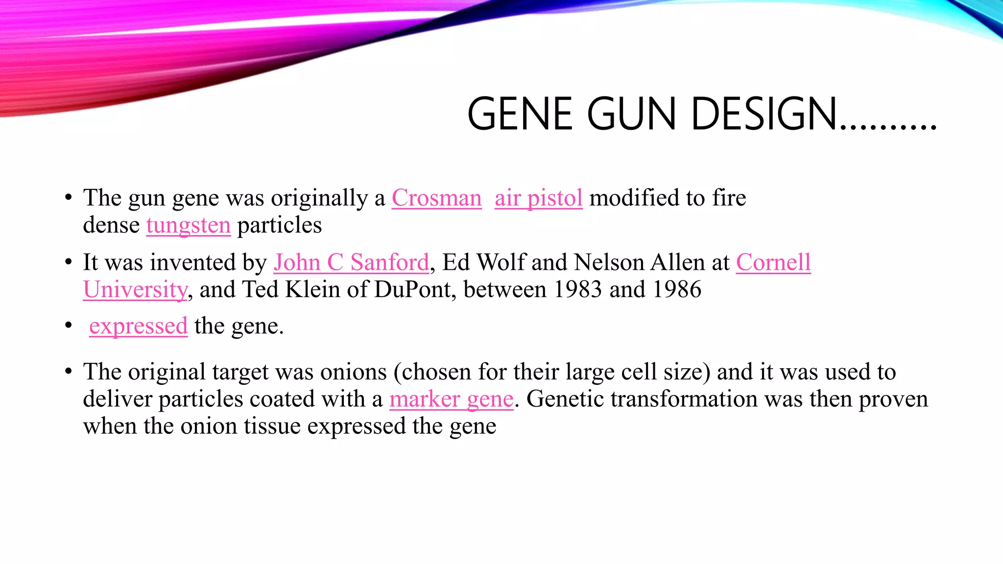 GENE GUN DESIGN……….
• The gun gene was originally a Crosman air pistol modified to fire
dense tungsten particles
• It was invented by John C Sanford, Ed Wolf and Nelson Allen at Cornell
University, and Ted Klein of DuPont, between 1983 and 1986
• expressed the gene.
• The original target was onions (chosen for their large cell size) and it was used to
deliver particles coated with a marker gene. Genetic transformation was then proven
when the onion tissue expressed the gene
 