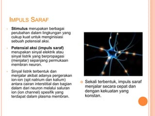 IMPULS SARAF
• Stimulus merupakan berbagai
perubahan dalam lingkungan yang
cukup kuat untuk menginisiasi
sebuah potensial aksi.
• Potensial aksi (impuls saraf)
merupakan sinyal elektrik atau
sinyal listrik yang berpropagasi
(menjalar) sepanjang permukaan
membran neuron.
• Sinyal listrik terbentuk dan
menjalar akibat adanya pergerakan
ion-ion (spt natrium dan kalium)
antara cairan interstitial dan bagian
dalam dari neuron melalui saluran
ion (ion channel) spesifik yang
terdapat dalam plasma membran.
 Sekali terbentuk, impuls saraf
menjalar secara cepat dan
dengan kekuatan yang
konstan.
 