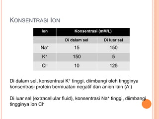 KONSENTRASI ION
Ion Konsentrasi (mM/L)
Di dalam sel Di luar sel
Na+ 15 150
K+ 150 5
Cl- 10 125
Di dalam sel, konsentrasi K+ tinggi, diimbangi oleh tingginya
konsentrasi protein bermuatan negatif dan anion lain (A-)
Di luar sel (extracellular fluid), konsentrasi Na+ tinggi, diimbangi
tingginya ion Cl-
 