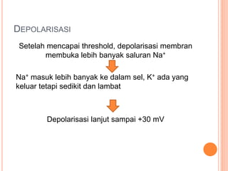 DEPOLARISASI
Setelah mencapai threshold, depolarisasi membran
membuka lebih banyak saluran Na+
Na+ masuk lebih banyak ke dalam sel, K+ ada yang
keluar tetapi sedikit dan lambat
Depolarisasi lanjut sampai +30 mV
 