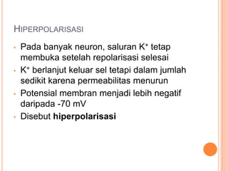 HIPERPOLARISASI
• Pada banyak neuron, saluran K+ tetap
membuka setelah repolarisasi selesai
• K+ berlanjut keluar sel tetapi dalam jumlah
sedikit karena permeabilitas menurun
• Potensial membran menjadi lebih negatif
daripada -70 mV
• Disebut hiperpolarisasi
 