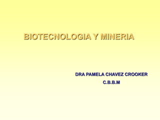 BIOTECNOLOGIA Y MINERIA
DRA PAMELA CHAVEZ CROOKER
C.B.B.M
 