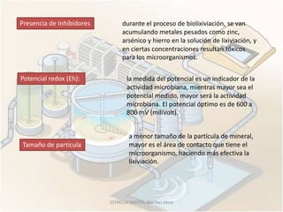 Presencia de Inhibidores         durante el proceso de biolixiviación, se van
                                 acumulando metales pesados como zinc,
                                 arsénico y hierro en la solución de lixiviación, y
                                 en ciertas concentraciones resultan tóxicos
                                 para los microorganismos.


Potencial redox (Eh):              la medida del potencial es un indicador de la
                                   actividad microbiana, mientras mayor sea el
                                   potencial medido, mayor será la actividad
                                   microbiana. El potencial óptimo es de 600 a
                                   800 mV (miliVolt).


                                    a menor tamaño de la partícula de mineral,
Tamaño de partícula                 mayor es el área de contacto que tiene el
                                    microorganismo, haciendo más efectiva la
                                    lixiviación.




                           ESTRELLA SANTOS, Maribel Alicia
 
