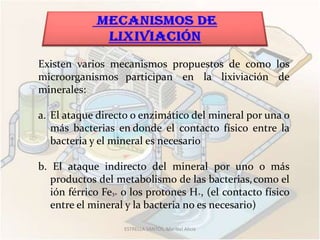 Existen varios mecanismos propuestos de como los
microorganismos participan en la lixiviación de
minerales:

a. El ataque directo o enzimático del mineral por una o
   más bacterias en donde el contacto físico entre la
   bacteria y el mineral es necesario

b. El ataque indirecto del mineral por uno o más
   productos del metabolismo de las bacterias, como el
   ión férrico Fe3+ o los protones H+, (el contacto físico
   entre el mineral y la bacteria no es necesario)

                   ESTRELLA SANTOS, Maribel Alicia
 