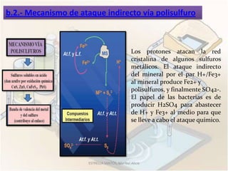 b.2.- Mecanismo de ataque indirecto vía polisulfuro



                                               Los protones atacan la red
                                               cristalina de algunos sulfuros
                                               metálicos. El ataque indirecto
                                               del mineral por el par H+/Fe3+
                                               al mineral produce Fe2+ y
                                               polisulfuros, y finalmente SO42-.
                                               El papel de las bacterias es de
                                               producir H2SO4 para abastecer
                                               de H+ y Fe3+ al medio para que
                                               se lleve a cabo el ataque químico.




                      ESTRELLA SANTOS, Maribel Alicia
 