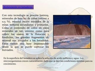 Biolixiviación en botaderos


Con esta tecnología se procesa lastre19,
minerales de baja ley de cobre (menor a
0,5 %), mineral recién extraídos de la
mina, sulfuros secundarios y primarios.
Como el contenido de cobre en estos
minerales es tan mínimo como para
cubrir los costos de la flotación y
fundición, los grandes fragmentos de
mineral son arrojados a los botaderos.
Estos tienen una base impermeable
desde la que se puede capturar los
lixiviados.


 En la superficie del botadero se aplica la solución de acido sulfúrico y agua. Los
 microorganismos crecen naturalmente dado que se dan las condiciones óptimas para su
 crecimiento.
                                ESTRELLA SANTOS, Maribel Alicia
 