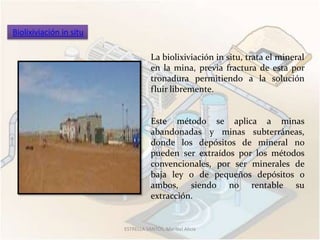 Biolixiviación in situ

                                    La biolixiviación in situ, trata el mineral
                                    en la mina, previa fractura de esta por
                                    tronadura permitiendo a la solución
                                    fluir libremente.


                                    Este método se aplica a minas
                                    abandonadas y minas subterráneas,
                                    donde los depósitos de mineral no
                                    pueden ser extraídos por los métodos
                                    convencionales, por ser minerales de
                                    baja ley o de pequeños depósitos o
                                    ambos, siendo no rentable su
                                    extracción.


                         ESTRELLA SANTOS, Maribel Alicia
 