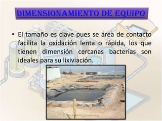 • El tamaño es clave pues se área de contacto
  facilita la oxidación lenta o rápida, los que
  tienen dimensión cercanas bacterias son
  ideales para su lixiviación.




                 ESTRELLA SANTOS, Maribel Alicia
 
