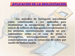 Los métodos de lixiviación microbiana
están comenzando a ser aplicados para
incrementar la recuperación de metales de
menas de sulfuros de bajo grado o recalcitrantes a
los procesos convencionales usando un pre-
tratamiento como en el caso de pirita o
arsenopirita, microorganismos son usados
comercialmente para la extracción de cobre por
medio de biolixiviación.



                  ESTRELLA SANTOS, Maribel Alicia
 