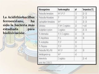 La Acidithiobacillus
ferrooxidans,      ha
sido la bacteria más
estudiada        para
biolixiviación .




                        ESTRELLA SANTOS, Maribel Alicia
 
