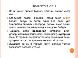 Biol l 1 | PPT