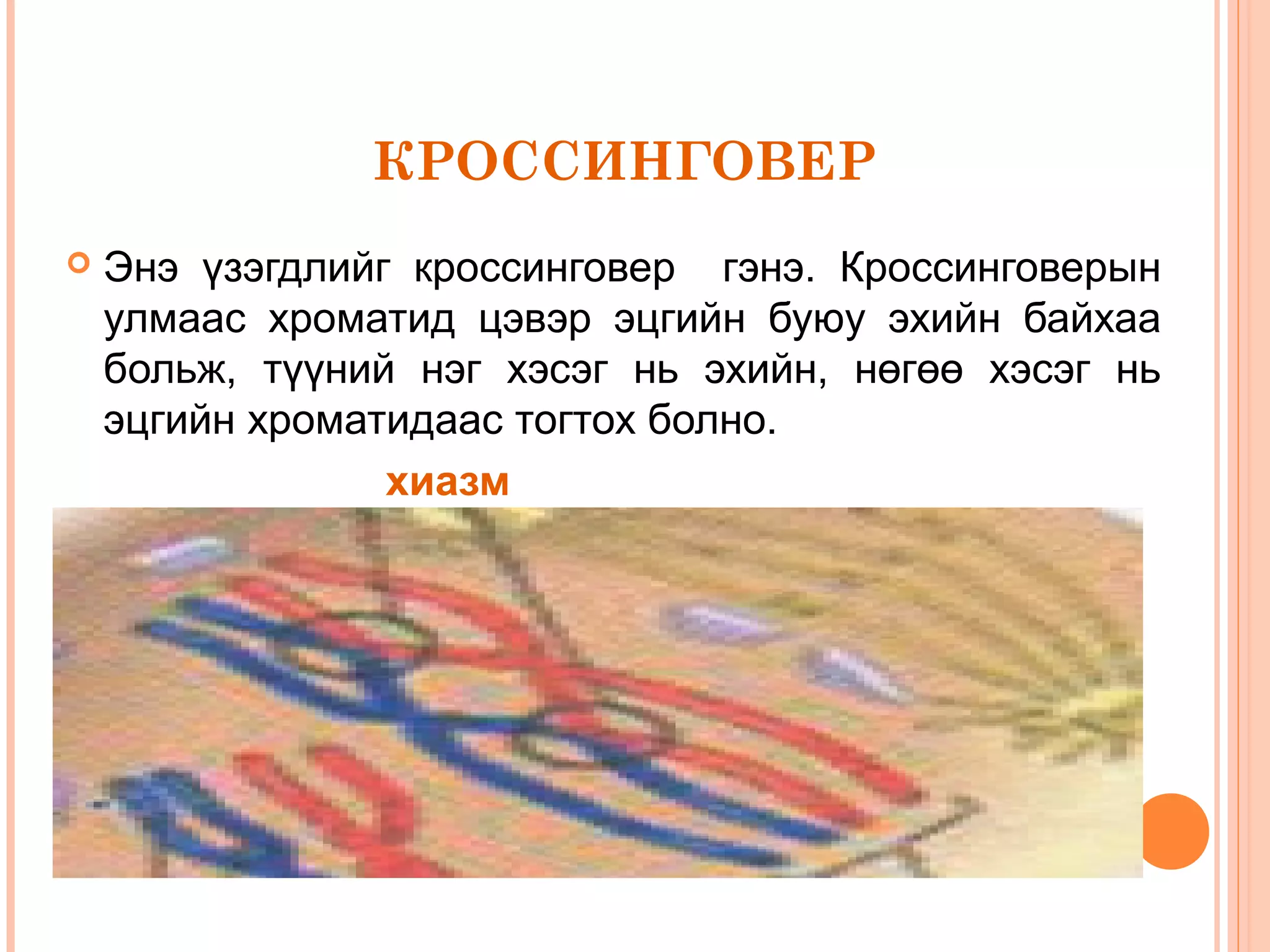 КРОССИНГОВЕР


Энэ үзэгдлийг кроссинговер гэнэ. Кроссинговерын
улмаас хроматид цэвэр эцгийн буюу эхийн байхаа
больж, түүний нэг хэсэг нь эхийн, нөгөө хэсэг нь
эцгийн хроматидаас тогтох болно.
хиазм

 