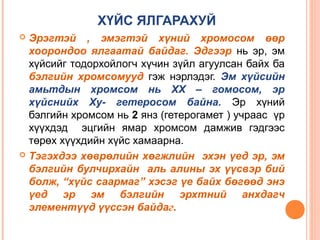 Biol l 5 | PPT