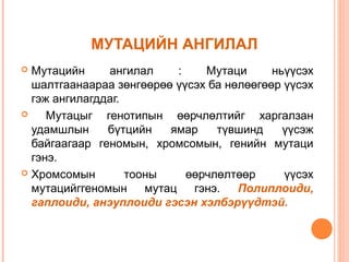 Biol l 7 | PPT
