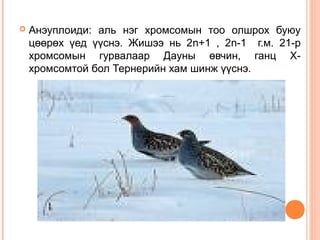 Biol l 7 | PPT