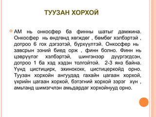 Biol l 8 | PPT