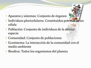 Aparatos y sistemas: Conjunto de órganosIndividuos pluricelulares: Constituidos pos mas de un célulaPoblación: Conjunto de individuos de la misma especieComunidad: Conjunto de poblacionesEcosistema: La interacción de la comunidad con el medio ambienteBiosfera: Todos los organismos del planeta