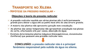 CONCLUSÃO: a pressão radicular não é o principal
fenómeno responsável pela subida da água no xilema.
TRANSPORTE NO XILEMA
- HIPÓTESE DA PRESSÃO RADICULAR -
Objeções à teoria da pressão radicular
 