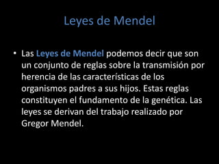 La Teoría Sintética se puede plantear de la siguiente forma. 