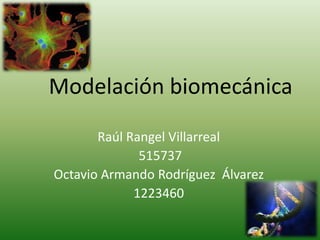 Modelación biomecánica Raúl Rangel Villarreal  515737 Octavio Armando Rodríguez  Álvarez   1223460 