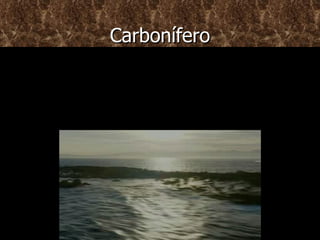 Carbonífero Empezó hace 345 millones de años. Surgieron los nuevos invertebrados mas desarrollados lógicamente que los seres anteriores. Y con el tiempo formaron los arrecifes de coral. El tiburón se siguió desarrollando durante este periodo y era el ser dominante 