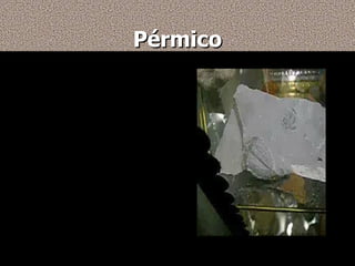 Pérmico -Comenzó hace 300 millones de años. -La tierra experimenta grandes cambios por el movimiento de los continentes y los océanos, para separar totalmente la pangea. -Desaparecieron organismos antiguos como el trilobites. -Pero los corales se siguen desarrollando, y extendiéndose por el fondo del mar. 