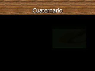 Cuaternario Comenzó hace  1’64 millones de años por lo que se subdivide en los últimos periodos antes mencionados. Durante esta época surgió el Homo sapiens y las especies animales evolucionaron a las actuales. Esta caracterizada por las grandes glaciaciones. Y por el desarrollo del hombre y la inteligencia. En esta etapa surgen los animales de hoy en día. 
