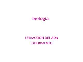 biología ESTRACCION DEL ADN EXPERIMENTO 