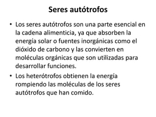 Seres autótrofos
• Los seres autótrofos son una parte esencial en
  la cadena alimenticia, ya que absorben la
  energía solar o fuentes inorgánicas como el
  dióxido de carbono y las convierten en
  moléculas orgánicas que son utilizadas para
  desarrollar funciones.
• Los heterótrofos obtienen la energía
  rompiendo las moléculas de los seres
  autótrofos que han comido.
 