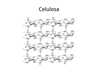 Celulosa
 