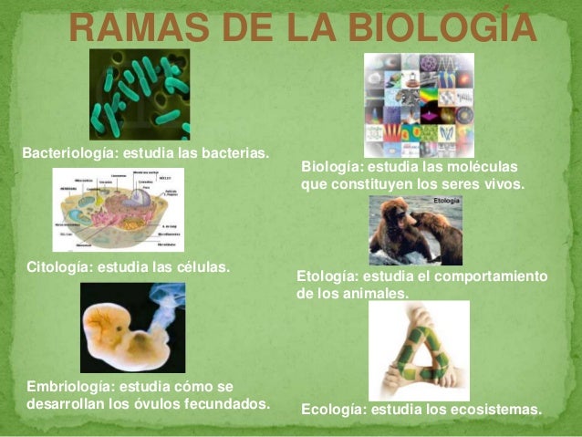 Biología